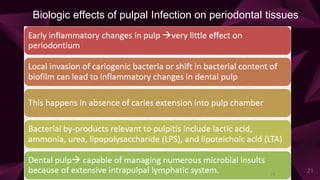 Biologic effects of pulpal Infection on periodontal tissues
21
 