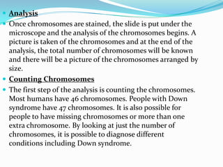  Analysis
 Once chromosomes are stained, the slide is put under the
  microscope and the analysis of the chromosomes begins. A
  picture is taken of the chromosomes and at the end of the
  analysis, the total number of chromosomes will be known
  and there will be a picture of the chromosomes arranged by
  size.
 Counting Chromosomes
 The first step of the analysis is counting the chromosomes.
  Most humans have 46 chromosomes. People with Down
  syndrome have 47 chromosomes. It is also possible for
  people to have missing chromosomes or more than one
  extra chromosome. By looking at just the number of
  chromosomes, it is possible to diagnose different
  conditions including Down syndrome.
 