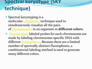 Spectral karyotype (SKY
technique)
 Spectral karyotyping is a
  molecular cytogenetic technique used to
  simultaneously visualize all the pairs
  of chromosomes in an organism in different colors.
 Fluorescently labeled probes for each chromosome are
  made by labeling chromosome-specific DNA with
  different fluorophores. Because there are a limited
  number of spectrally-distinct fluorophores, a
  combinatorial labeling method is used to generate
  many different colors.
 