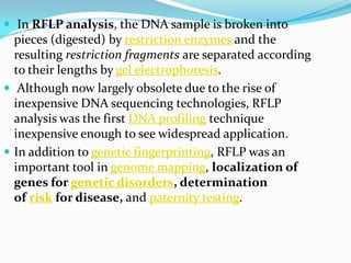  In RFLP analysis, the DNA sample is broken into
  pieces (digested) by restriction enzymes and the
  resulting restriction fragments are separated according
  to their lengths by gel electrophoresis.
 Although now largely obsolete due to the rise of
  inexpensive DNA sequencing technologies, RFLP
  analysis was the first DNA profiling technique
  inexpensive enough to see widespread application.
 In addition to genetic fingerprinting, RFLP was an
  important tool in genome mapping, localization of
  genes for genetic disorders, determination
  of risk for disease, and paternity testing.
 