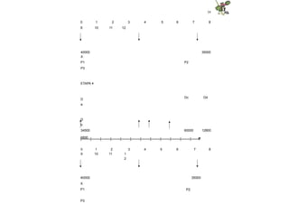 34
3 4 5 6 7 8
0
9
1
10
2
11 12
40000 35000
X
P1 P2
P3
ETAPA 4
D
a
D
b
Dc Dd
34500 60000 12800
6800
|--------|--------|--------|--------|--------|--------|--------|--------|--------|--------|--------|------ff
0 1 2 3 4 5 6 7 8
9 10 11 1
2
35000
P2
40000
X
P1
P3
 