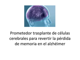 Prometedor trasplante de células
cerebrales para revertir la pérdida
de memoria en el alzhéimer
 