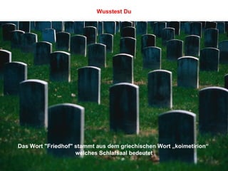 Das Wort "Friedhof" stammt aus dem griechischen Wort „koimetirion“  welches Schlafsaal bedeutet Wusstest Du 
