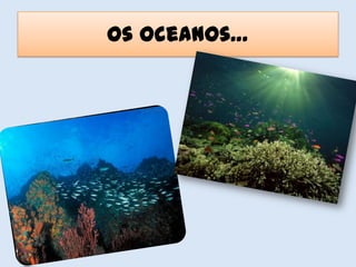 Os oceanos…
 