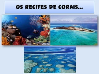 Os recifes de Corais…
 