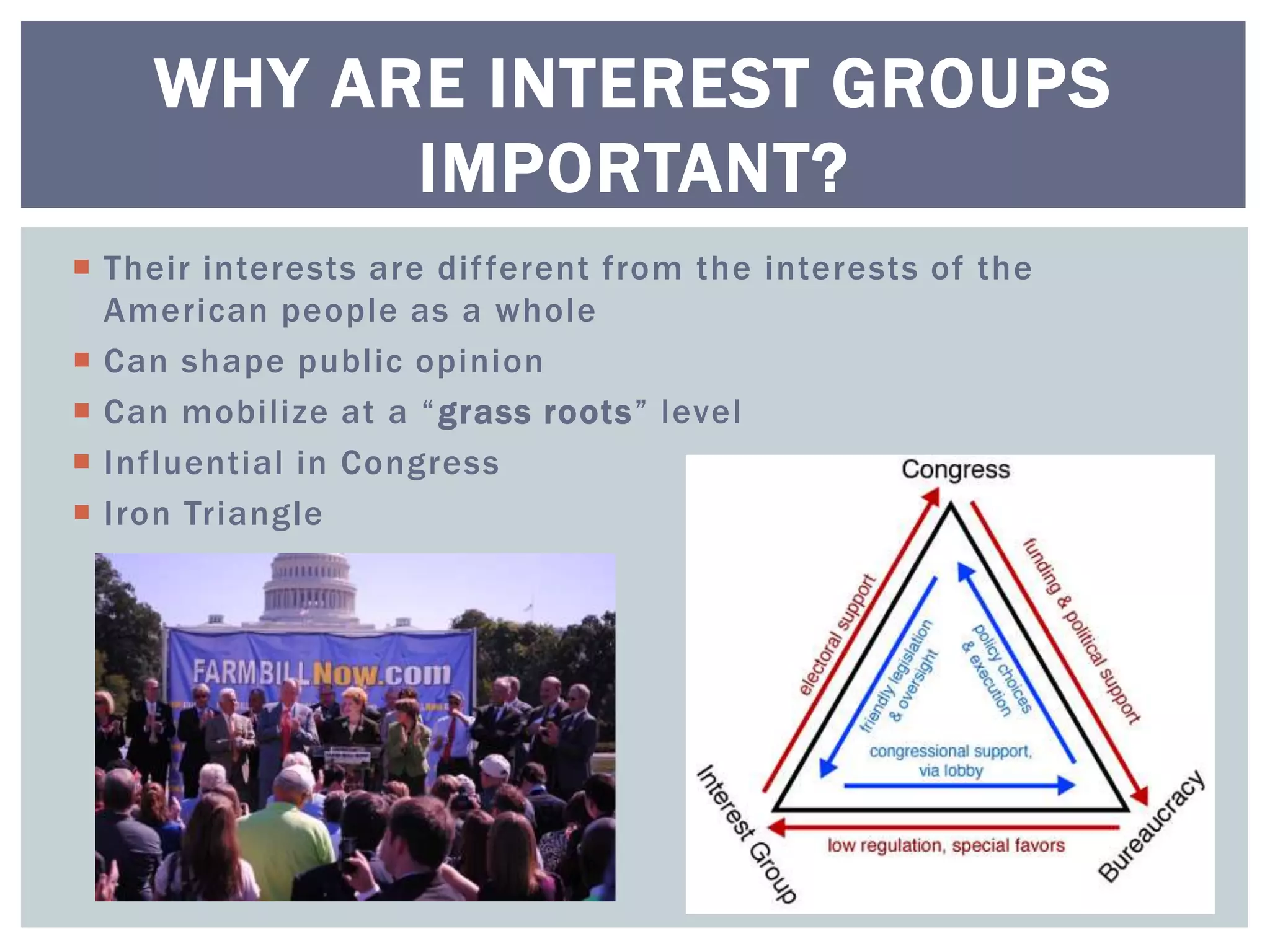 WHY ARE INTEREST GROUPS
          IMPORTANT?
 Their interests are dif ferent from the interests of the
  American people as a whole
 Can shape public opinion
 Can mobilize at a “ grass roots” level
 Influential in Congress
 Iron Triangle
 