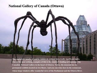 National Gallery of Canada (Ottawa)
The capital of Canada, of course, cannot do without historically significant sights.
One of the most striking examples of this is the country's leading art museum - the
Canadian National Gallery in the heart of Ottawa. Today, the museum has six
permanent exhibits located on two floors. And you can relax here in the restaurant,
whose large windows offer wonderful views of the Parliament and the Ottawa River.
 