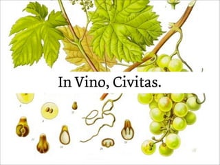 In Vino, Civitas.
 