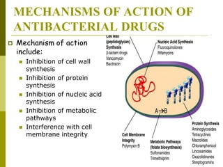 MECHANISMS OF ACTION OF
ANTIBACTERIAL DRUGS
 Mechanism of action
include:
 Inhibition of cell wall
synthesis
 Inhibition of protein
synthesis
 Inhibition of nucleic acid
synthesis
 Inhibition of metabolic
pathways
 Interference with cell
membrane integrity
 
