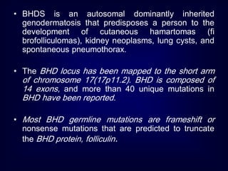 • BHDS is an autosomal dominantly inherited
genodermatosis that predisposes a person to the
development of cutaneous hamartomas (fi
brofolliculomas), kidney neoplasms, lung cysts, and
spontaneous pneumothorax.
• The BHD locus has been mapped to the short arm
of chromosome 17(17p11.2). BHD is composed of
14 exons, and more than 40 unique mutations in
BHD have been reported.
• Most BHD germline mutations are frameshift or
nonsense mutations that are predicted to truncate
the BHD protein, folliculin.
 