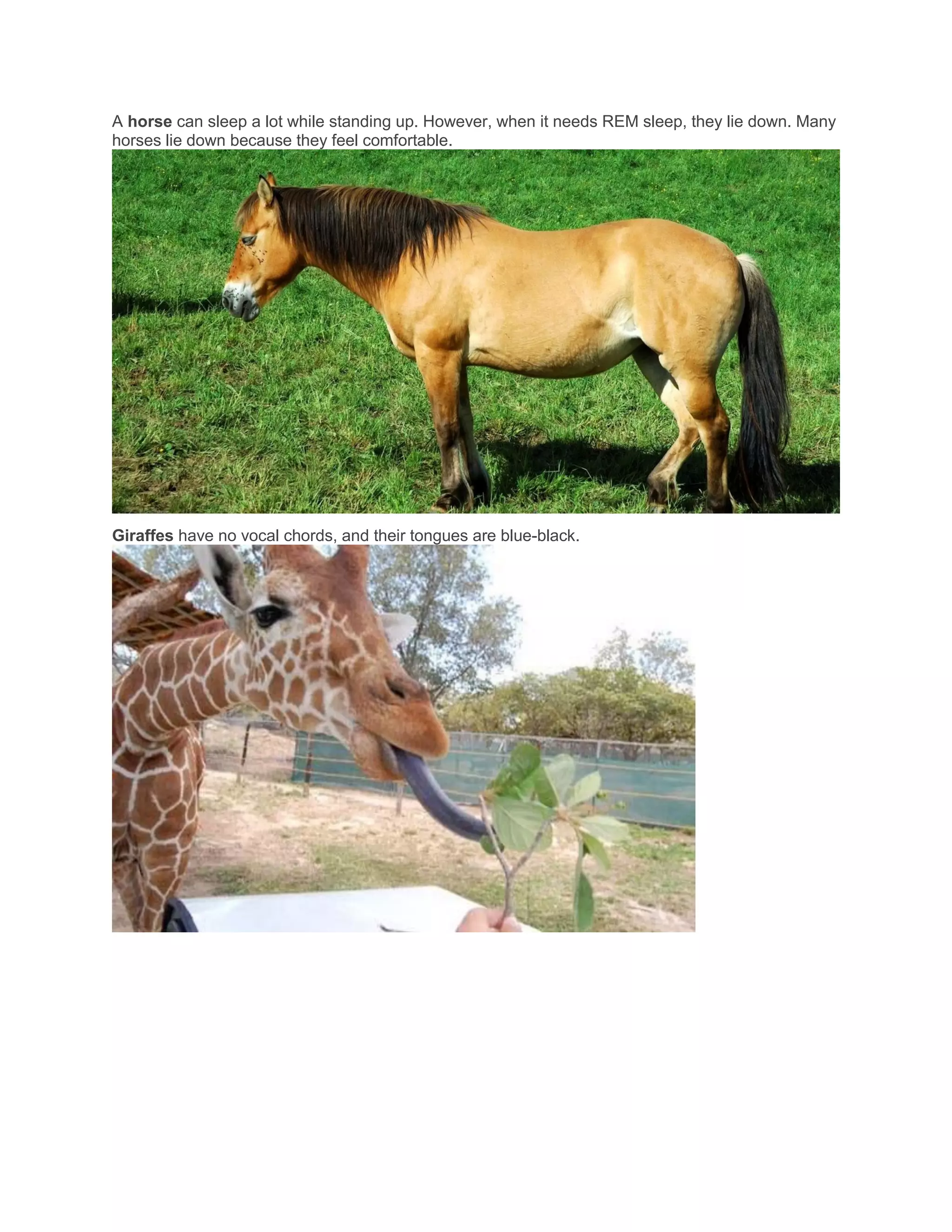 「write」に関連した英語例文の一覧と使い方 - Weblio英語例文検索 visual data 2