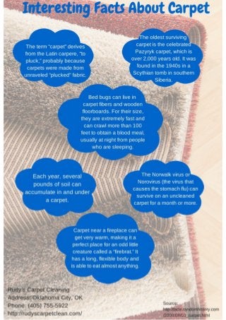 Interesting facts about carpet