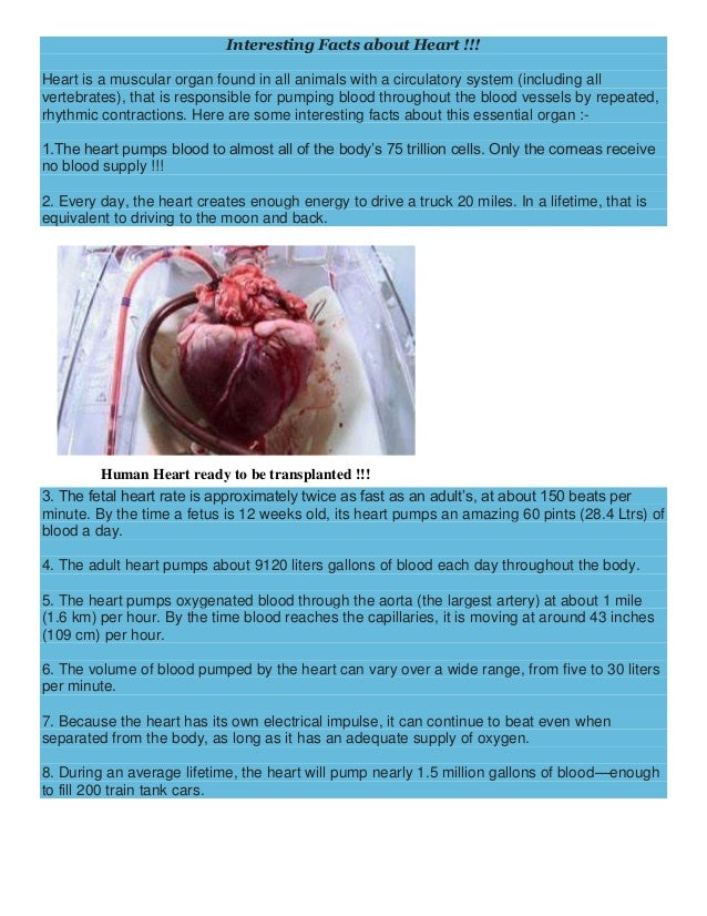 Interesting facts about heart