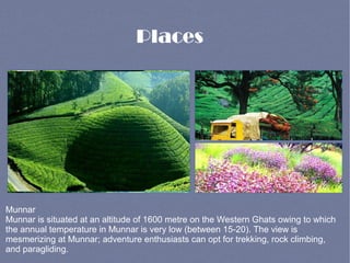 Places
Munnar
Munnar is situated at an altitude of 1600 metre on the Western Ghats owing to which
the annual temperature in Munnar is very low (between 15-20). The view is
mesmerizing at Munnar; adventure enthusiasts can opt for trekking, rock climbing,
and paragliding.
 