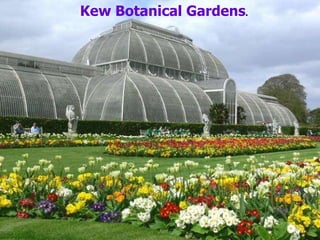 Kew Botanical Gardens . 