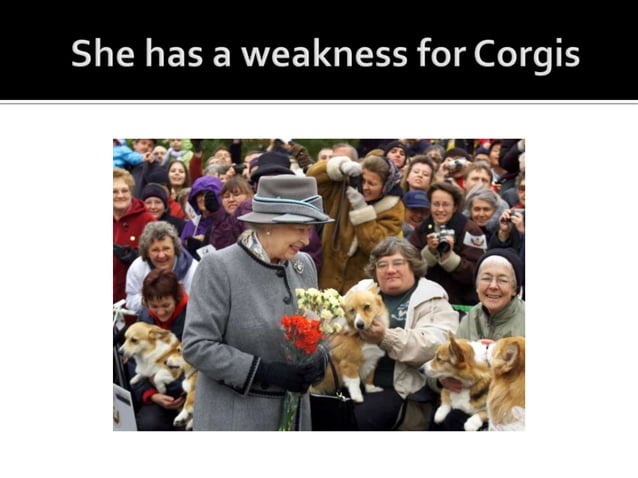 INTERESTING FACTS ABOUT ELIZABETH ENGLAND visual data 6