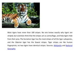 Interesting Facts About Tigers | PPT