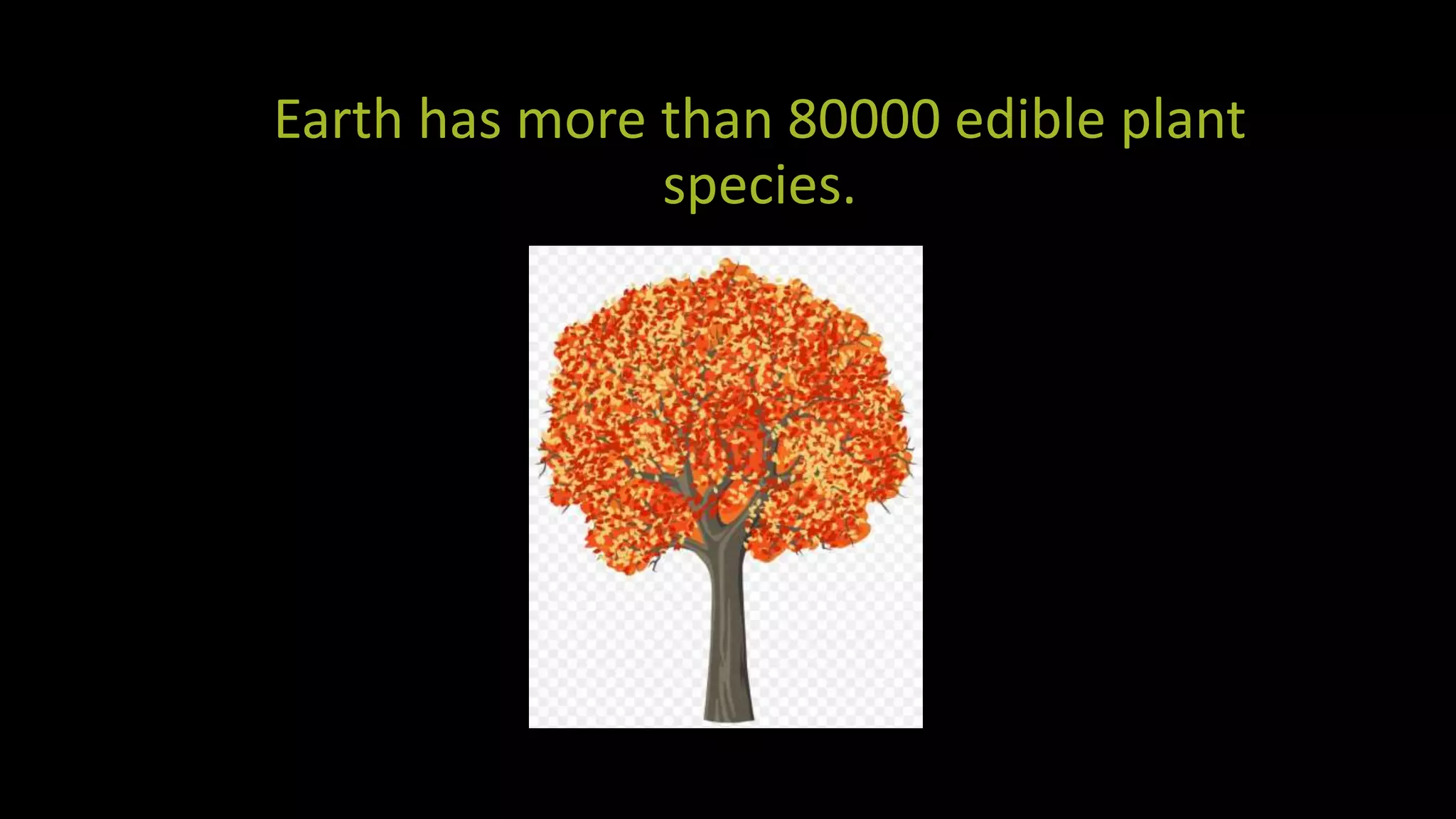 Interesting Facts About Trees pptx interesting-facts-about-trees-pptx