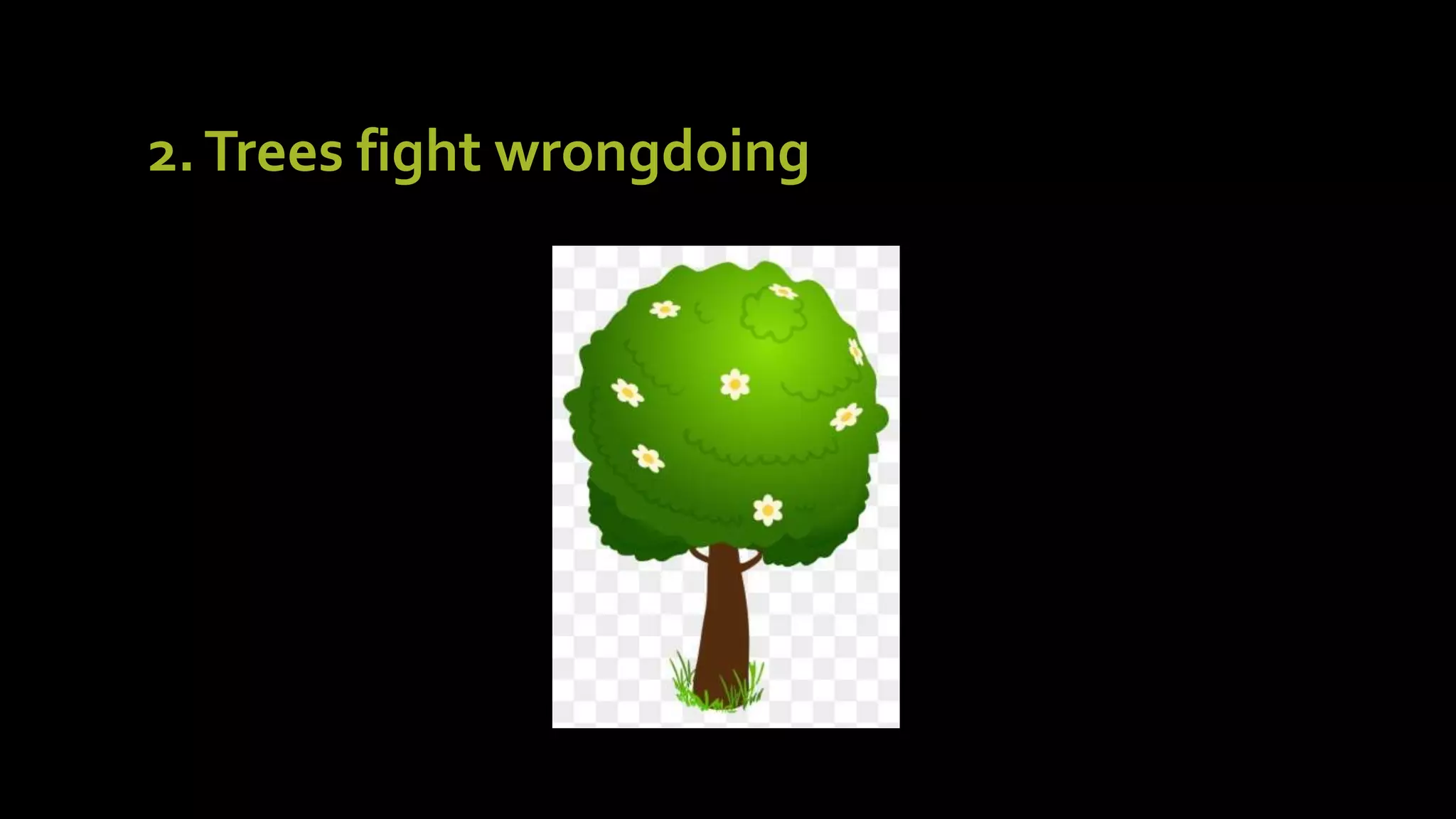 Interesting Facts About Trees pptx mrbeast-partners-with-over-600-youtubers-to-plant-20-million-trees
