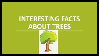 INTERESTING FACTS
ABOUT TREES
 