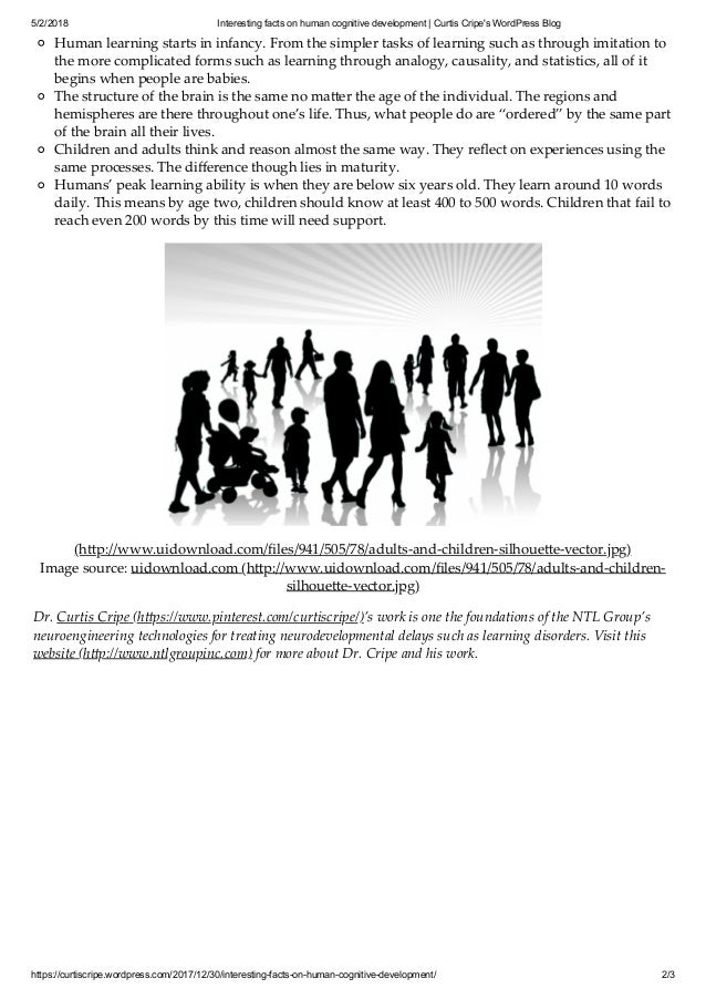 facts about cognitive development