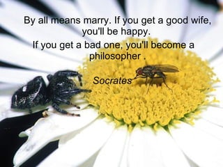 By all means marry. If you get a good wife, you'll be happy.  If you get a bad one, you'll become a philosopher . Socrates  