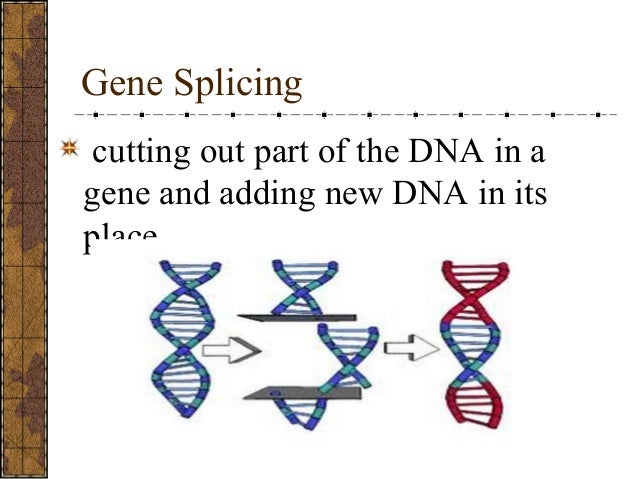 What is gene splicing?