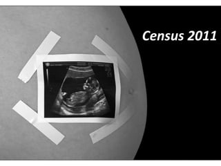 Census 2011 