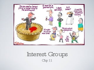 Interest Groups ,[object Object]