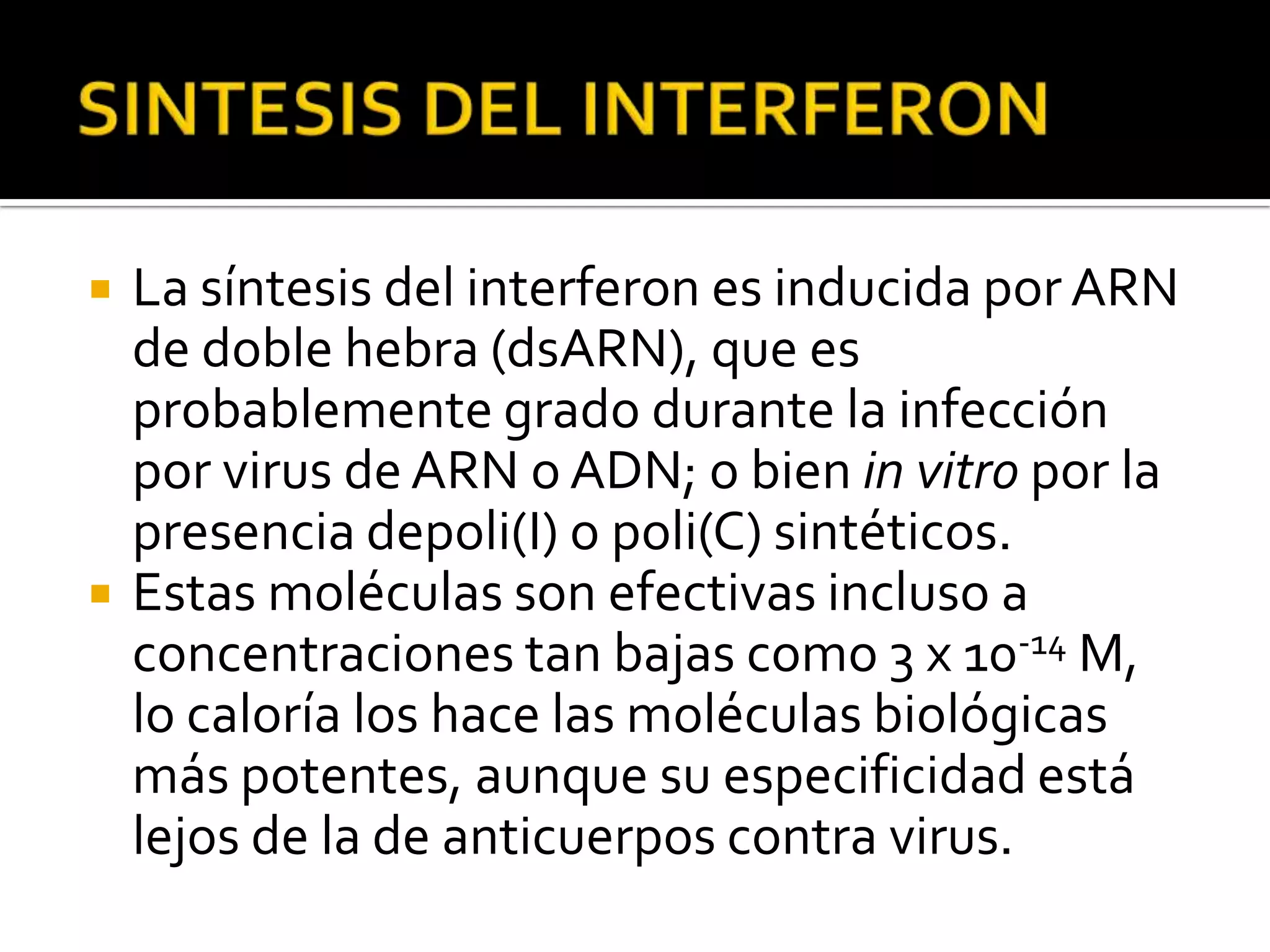    La síntesis del interferon es inducida por ARN
    de doble hebra (dsARN), que es
    probablemente grado durante la infección
    por virus de ARN o ADN; o bien in vitro por la
    presencia depoli(I) o poli(C) sintéticos.
   Estas moléculas son efectivas incluso a
    concentraciones tan bajas como 3 x 10-14 M,
    lo caloría los hace las moléculas biológicas
    más potentes, aunque su especificidad está
    lejos de la de anticuerpos contra virus.
 