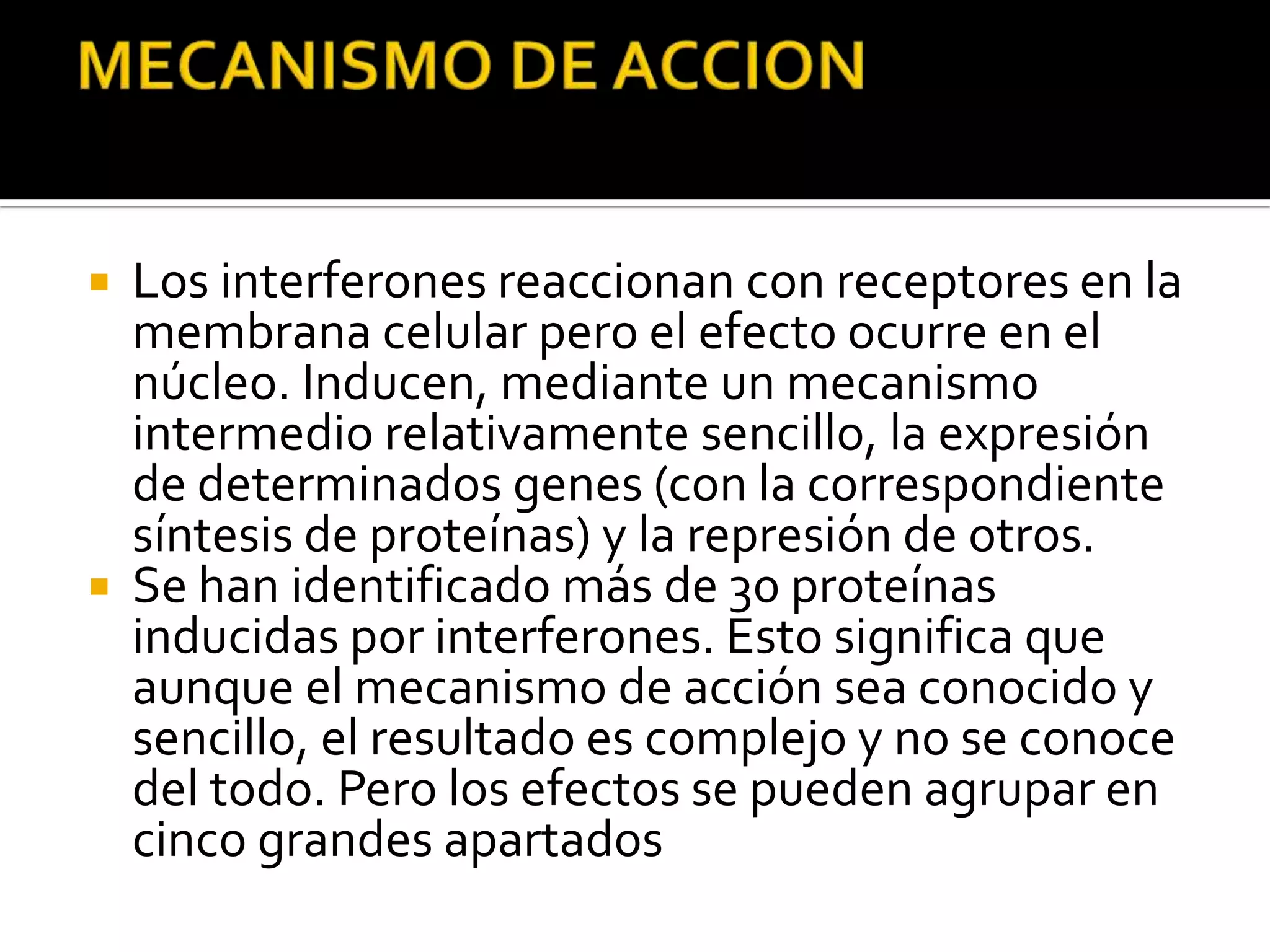    Los interferones reaccionan con receptores en la
    membrana celular pero el efecto ocurre en el
    núcleo. Inducen, mediante un mecanismo
    intermedio relativamente sencillo, la expresión
    de determinados genes (con la correspondiente
    síntesis de proteínas) y la represión de otros.
   Se han identificado más de 30 proteínas
    inducidas por interferones. Esto significa que
    aunque el mecanismo de acción sea conocido y
    sencillo, el resultado es complejo y no se conoce
    del todo. Pero los efectos se pueden agrupar en
    cinco grandes apartados
 