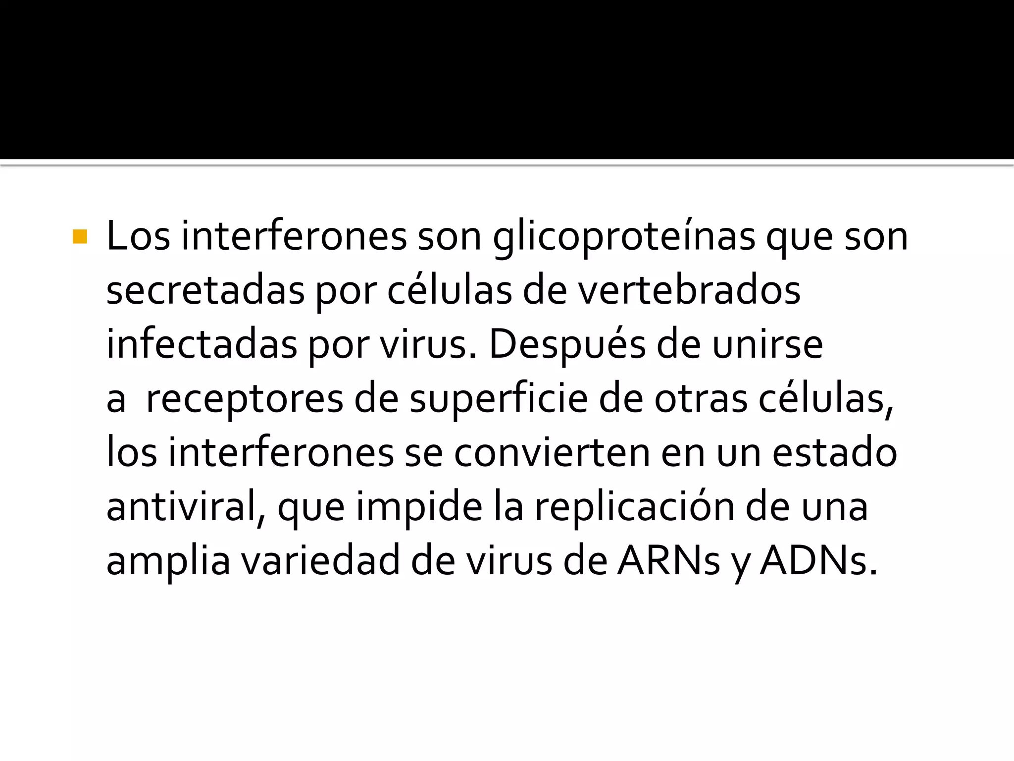    Los interferones son glicoproteínas que son
    secretadas por células de vertebrados
    infectadas por virus. Después de unirse
    a receptores de superficie de otras células,
    los interferones se convierten en un estado
    antiviral, que impide la replicación de una
    amplia variedad de virus de ARNs y ADNs.
 