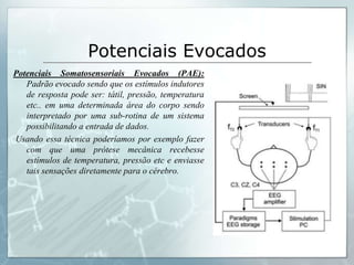 Potenciais Evocados
Potenciais Somatosensoriais Evocados (PAE):
   Padrão evocado sendo que os estímulos indutores
   de resposta pode ser: tátil, pressão, temperatura
   etc.. em uma determinada área do corpo sendo
   interpretado por uma sub-rotina de um sistema
   possibilitando a entrada de dados.
Usando essa técnica poderíamos por exemplo fazer
   com que uma prótese mecânica recebesse
   estímulos de temperatura, pressão etc e enviasse
   tais sensações diretamente para o cérebro.
 