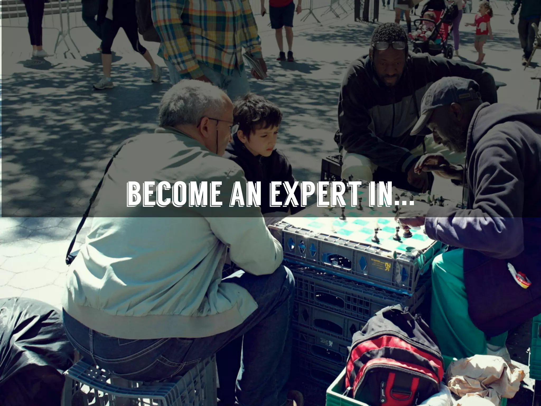 become an expert in...
 