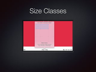 Size Classes
 
