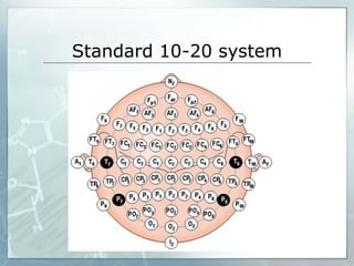 Standard 10-20 system
 