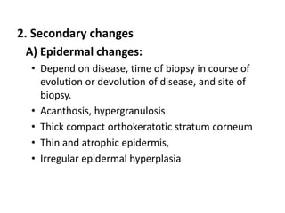 2. Secondary changes
A) Epidermal changes:
• Depend on disease, time of biopsy in course of
evolution or devolution of disease, and site of
biopsy.
• Acanthosis, hypergranulosis
• Thick compact orthokeratotic stratum corneum
• Thin and atrophic epidermis,
• Irregular epidermal hyperplasia

 