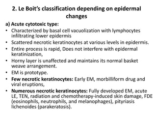 2. Le Boit’s classification depending on epidermal
changes
a) Acute cytotoxic type:
• Characterized by basal cell vacuolization with lymphocytes
infiltrating lower epidermis
• Scattered necrotic keratinocytes at various levels in epidermis.
• Entire process is rapid, Does not interfere with epidermal
keratinization,
• Horny layer is unaffected and maintains its normal basket
weave arrangement.
• EM is prototype.
• Few necrotic keratinocytes: Early EM, morbilliform drug and
viral eruptions,
• Numerous necrotic keratinocytes: Fully developed EM, acute
LE, TEN, radiation and chemotherapy-induced skin damage, FDE
(eosinophils, neutrophils, and melanophages), pityriasis
lichenoides (parakeratosis).

 