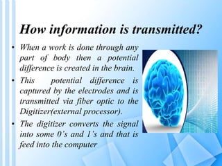 How information is transmitted? 
• When a work is done through any 
part of body then a potential 
difference is created in the brain. 
• This potential difference is 
captured by the electrodes and is 
transmitted via fiber optic to the 
Digitizer(external processor). 
• The digitizer converts the signal 
into some 0’s and 1’s and that is 
feed into the computer 
 