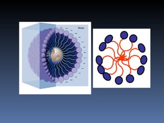 Interfacial phenomena | PPT