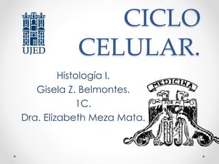 CICLO
CELULAR.
Histología I.
Gisela Z. Belmontes.
1C.
Dra. Elizabeth Meza Mata.
 