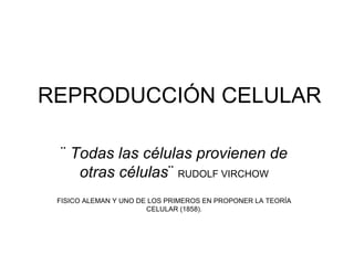 REPRODUCCIÓN CELULAR

 ¨ Todas las células provienen de
    otras células¨ RUDOLF VIRCHOW
 FISICO ALEMAN Y UNO DE LOS PRIMEROS EN PROPONER LA TEORÍA
                       CELULAR (1858).
 