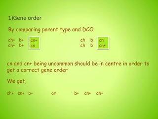 1)Gene order
By comparing parent type and DCO
ch+ b+ ch b
ch+ b+ ch b
cn+
cn
cn
cn+
cn and cn+ being uncommon should be in centre in order to
get a correct gene order.
We get,
ch+ cn+ b+ or b+ cn+ ch+
 