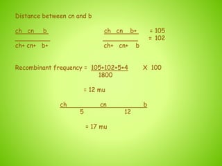 Distance between cn and b
ch cn b ch cn b+ = 105
_________ _________ = 102
ch+ cn+ b+ ch+ cn+ b
Recombinant frequency = 105+102+5+4 X 100
1800
= 12 mu
ch cn b
5 12
= 17 mu
 