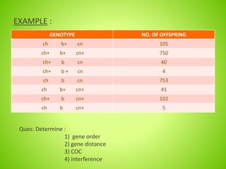 EXAMPLE :
GENOTYPE NO. OF OFFSPRING
ch b+ cn 105
ch+ b+ cn+ 750
ch+ b cn 40
ch+ b + cn 4
ch b cn 753
ch b+ cn+ 41
ch+ b cn+ 102
ch b cn+ 5
Ques: Determine :
1) gene order
2) gene distance
3) COC
4) interference
 