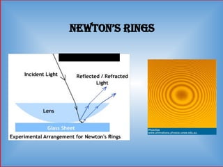 Newton’s Rings
 