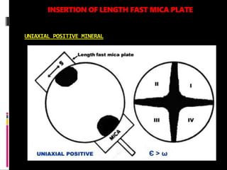 INSERTION OF LENGTH FAST MICA PLATE
UNIAXIAL POSITIVE MINERAL
 