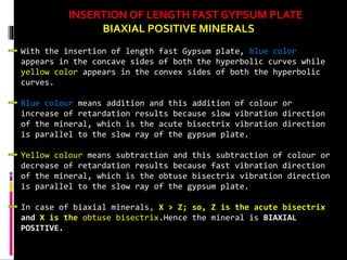 INSERTION OF LENGTH FAST GYPSUM PLATE
BIAXIAL POSITIVE MINERALS
With the insertion of length fast Gypsum plate, blue color
appears in the concave sides of both the hyperbolic curves while
yellow color appears in the convex sides of both the hyperbolic
curves.
Blue colour means addition and this addition of colour or
increase of retardation results because slow vibration direction
of the mineral, which is the acute bisectrix vibration direction
is parallel to the slow ray of the gypsum plate.
Yellow colour means subtraction and this subtraction of colour or
decrease of retardation results because fast vibration direction
of the mineral, which is the obtuse bisectrix vibration direction
is parallel to the slow ray of the gypsum plate.
In case of biaxial minerals, X > Z; so, Z is the acute bisectrix
and X is the obtuse bisectrix.Hence the mineral is BIAXIAL
POSITIVE.
 