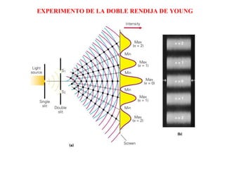 EXPERIMENTO DE LA DOBLE RENDIJA DE YOUNG 