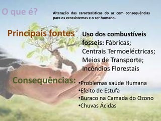 (…)Diminuir os estragos Porque será importante Prevenir?Como Prevenir?Estudos e observações regulares para prever, se possível a catástrofe; 